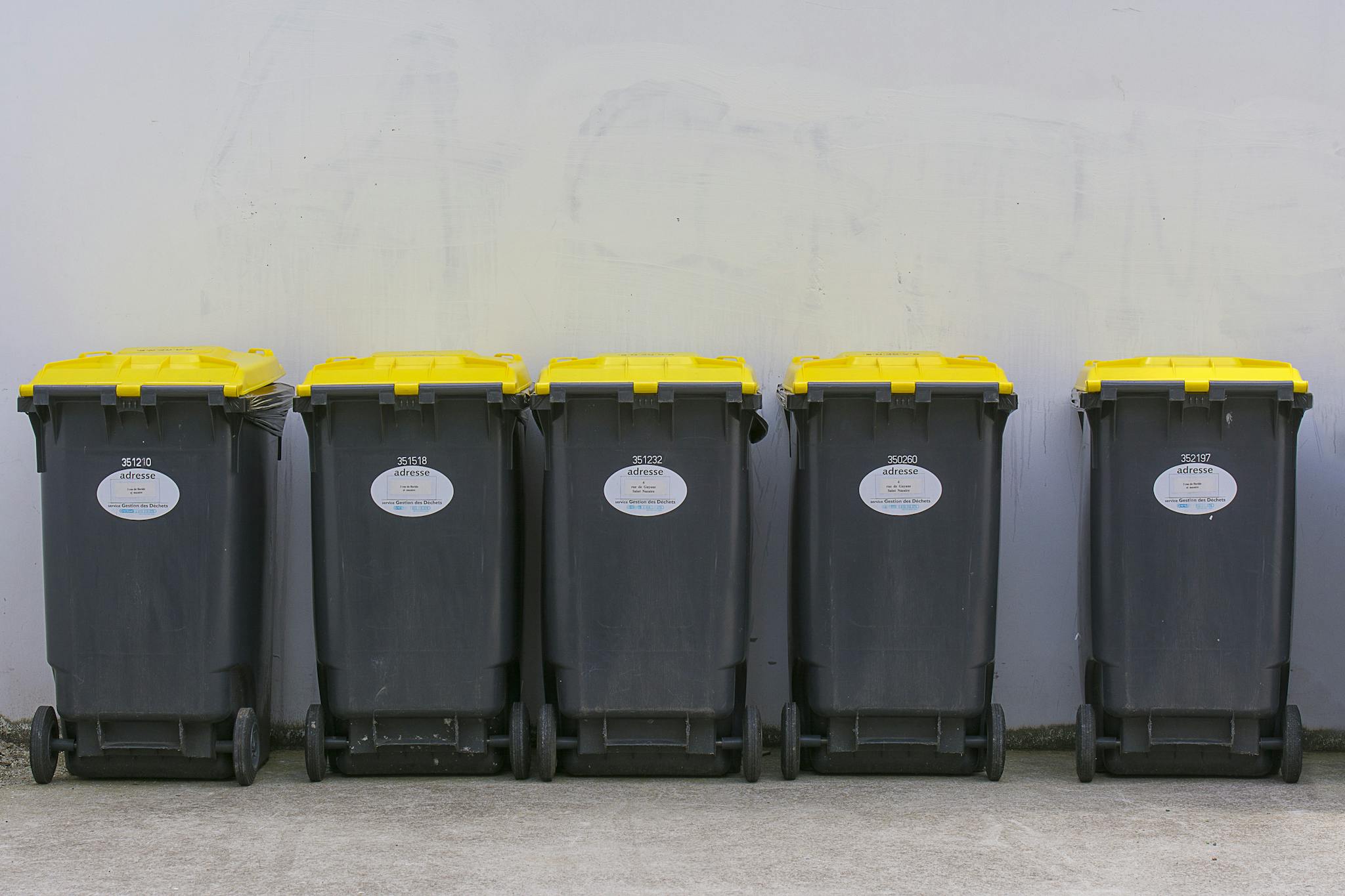 Neatly lined up garbage bins with yellow lids against a plain background wall.